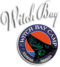 http://www.witchbay.com/wp-content/uploads/2014/04/witchbaylogo-200x223.png