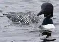 524660845_23984043027891712_5708366344452188059_n.jpg